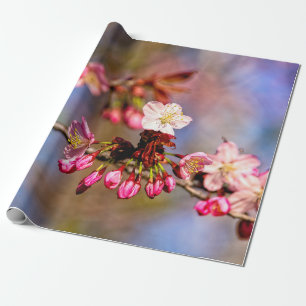 Papier Cadeau Sakura Blossom Et Bufs Violets Par Un Jour Ensolei
