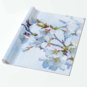 Papier Cadeau Sakura - Fleur de cerisier japonaise