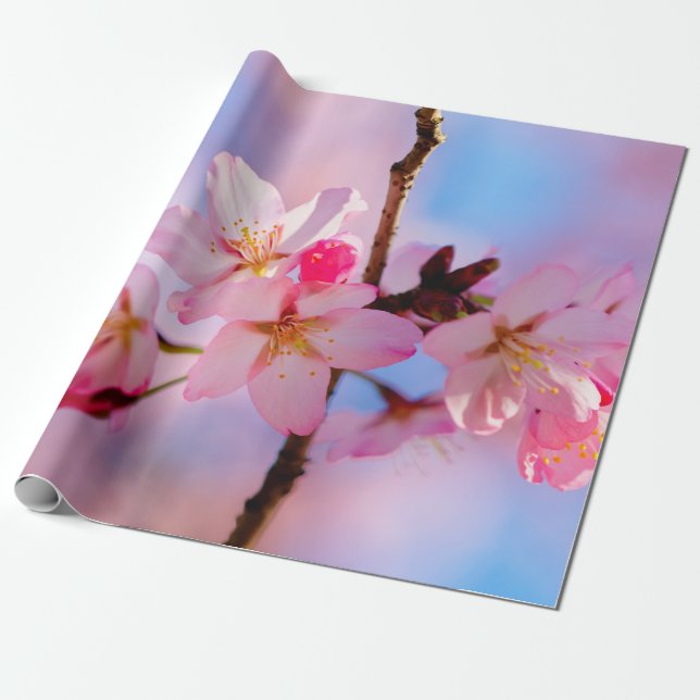 Papier Cadeau Sakura Fleurit Sur Une Brindille Verticale (Déroulé)