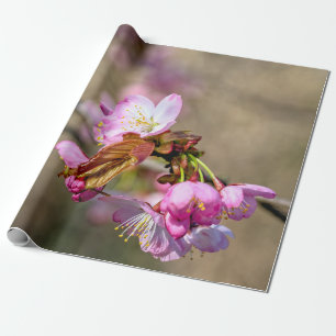 Papier Cadeau Sakura Flowers contre l'Arrière - plan verdâtre
