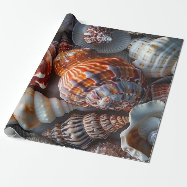 Papier Cadeau Sally Vend Coquillages (Déroulé)