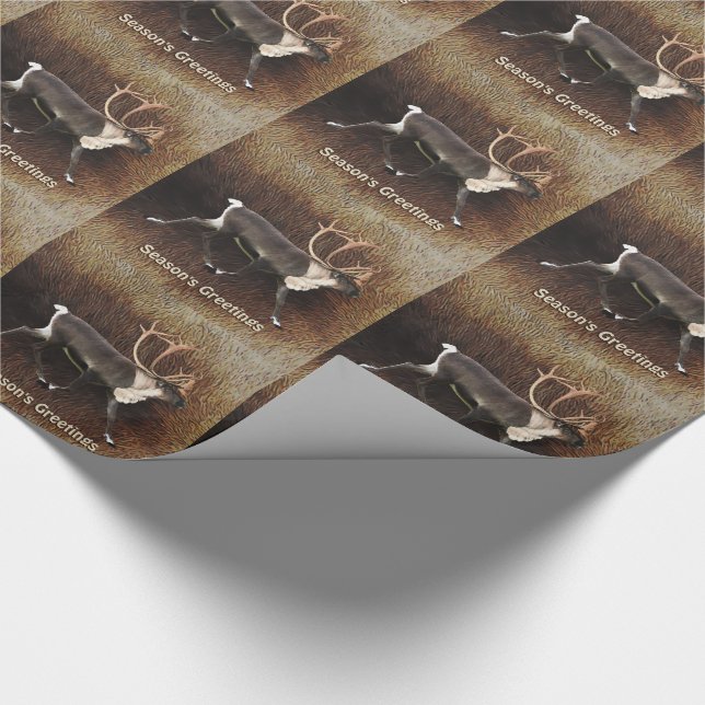 Papier Cadeau Salutation de saison - Bull Caribou (Reindeer) (Coin)