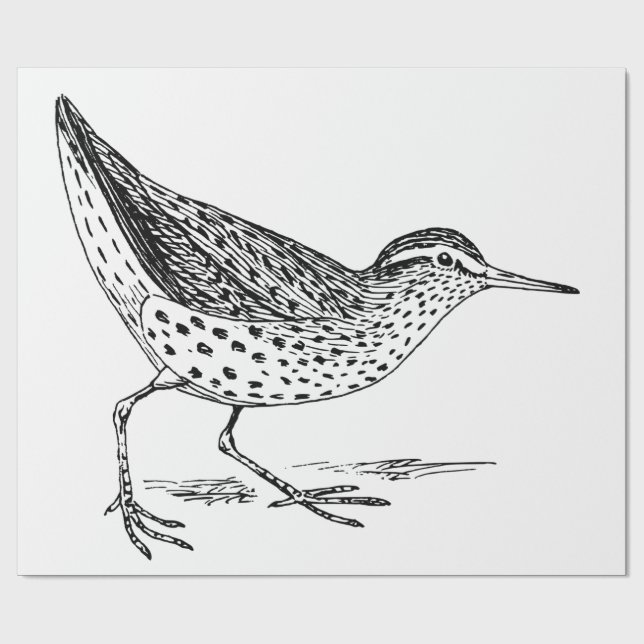 Papier Cadeau Sandpiper Shorer Thunder_Cove (Plat)