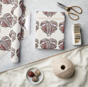 Papier Cadeau Science de l'anatomie humaine vintage, yeux