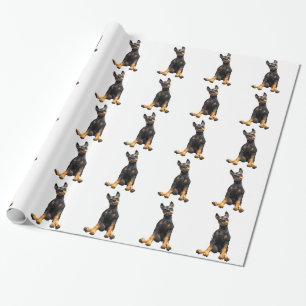 Papier Cadeau Séance de chiot de Pinscher de dobermann