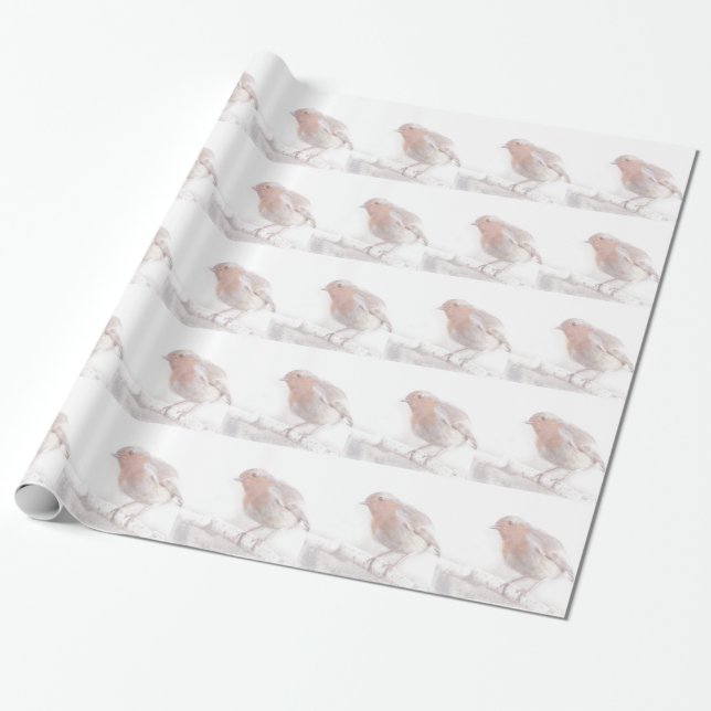 Papier Cadeau Séjour, peu de Robin gai ! (Déroulé)