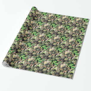 Papier Cadeau Sempervivums succulent - rose et vert