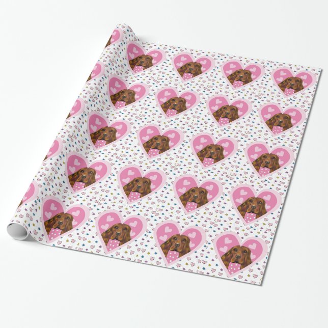 PAPIER CADEAU SETTER IRLANDAIS (Déroulé)