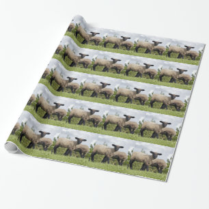 Papier Cadeau sheep