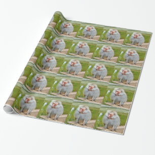 Papier Cadeau Singe gris, Ape Macaque, Nature, Animaux