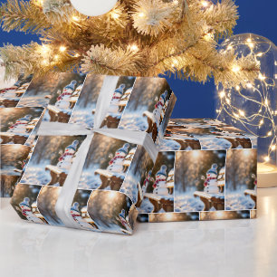 Papier Cadeau Snowman de Noël sur un banc de parc