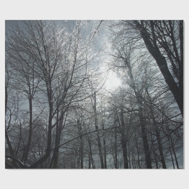 Papier Cadeau Soleil sur les arbres couverts de glace (Plat)