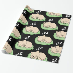 Papier Cadeau Sommeil Kitty Thunder_Cove