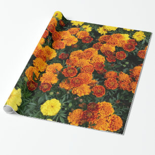 Papier Cadeau Souci