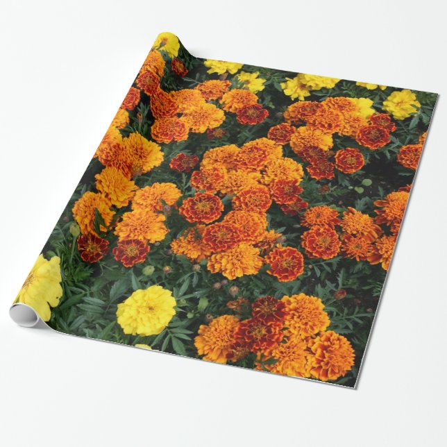 Papier Cadeau Souci (Déroulé)