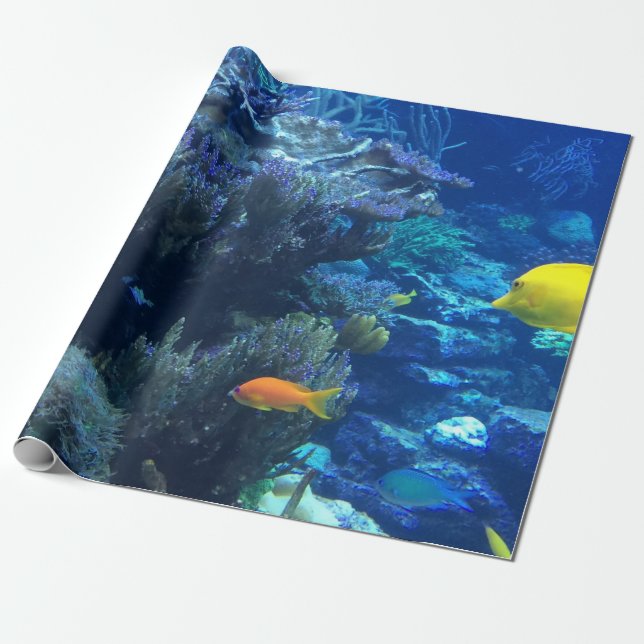 Papier Cadeau Sous L'Océan Eau Monde Et Été (Déroulé)