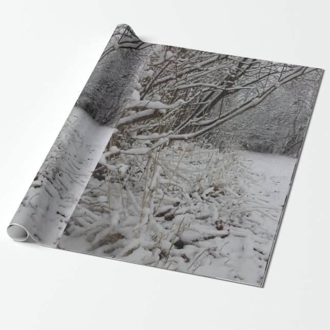 Papier Cadeau Sous une couverture de neige (Déroulé)