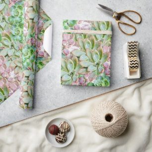 Papier Cadeau Succulente Colorée