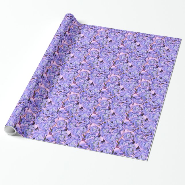 Papier Cadeau Succulentes (Déroulé)