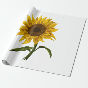 Papier Cadeau Sunflower Sunshine Floral Aquarelle Fleur