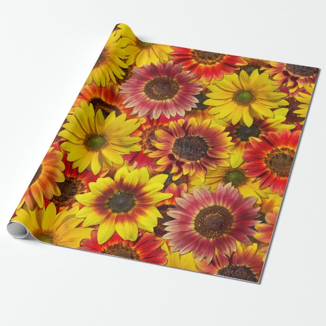 Papier Cadeau Sunflowers Motif sans couture (Déroulé)