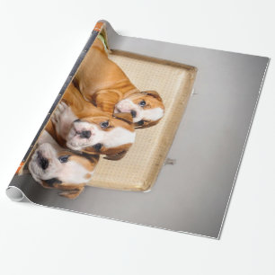 Papier Cadeau Superbes chiots Bulldog AMOUREUX DES CHIENS