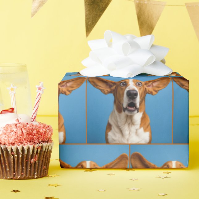 Papier Cadeau Surprised Basset Hound (Fête d'anniversaire)