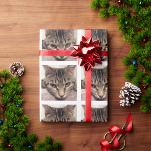 Papier Cadeau Tabby Cat-Instagram par Shirley Taylor