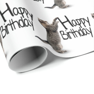 Papier Cadeau Tabby Chat avec texte d'anniversaire