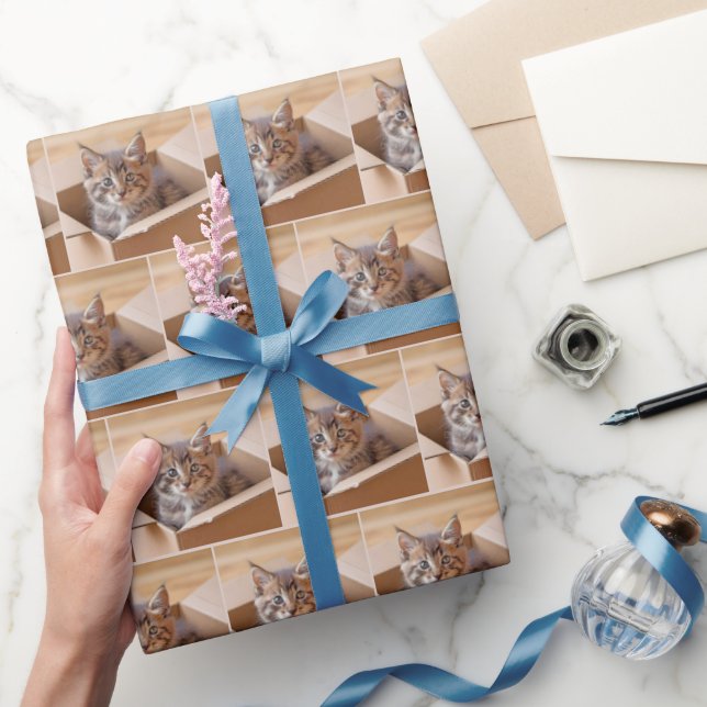 Papier Cadeau Tabby Kitten Dans Boîte En Carton (Cadeaux)