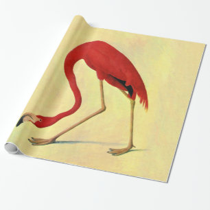Papier Cadeau Tableau Flamant rose américain Audubon