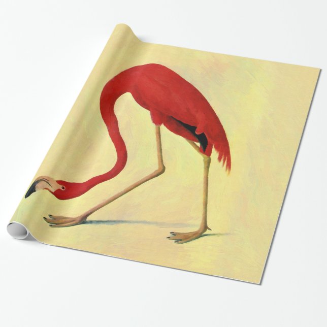 Papier Cadeau Tableau Flamant rose américain Audubon (Déroulé)