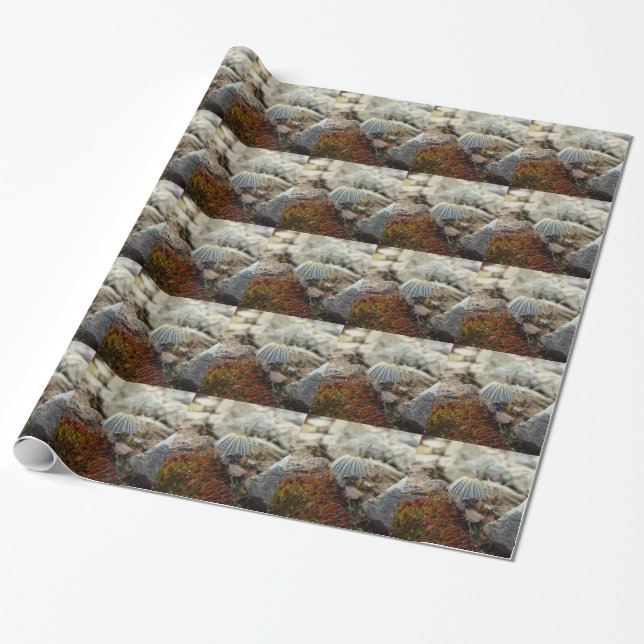 Papier Cadeau Tabouret minuscule (Déroulé)
