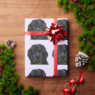 Papier Cadeau Terre-Neuve