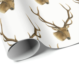 Papier Cadeau Tête de cerf avec grands bois #1