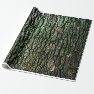 Papier Cadeau Texture d'écorce d'arbre