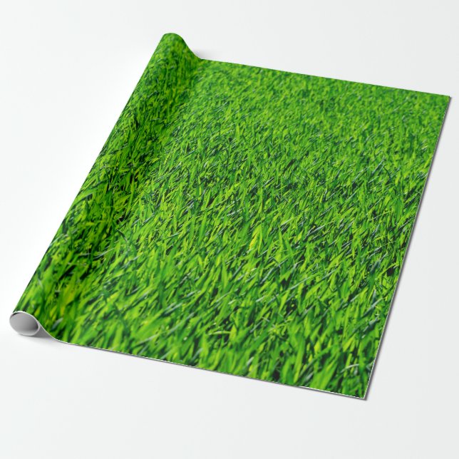 Papier Cadeau Texture verte d'herbe d'été (Déroulé)