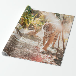 PAPIER CADEAU TIGER BROWN DANS LE GESTE DE MARCHE
