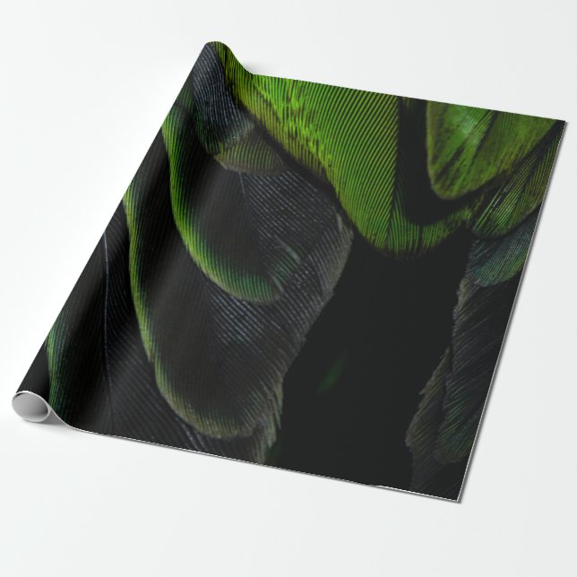 Papier Cadeau Tissu vert et noir (Déroulé)