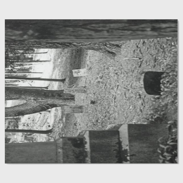 Papier Cadeau Tombe oubliée (Plat)