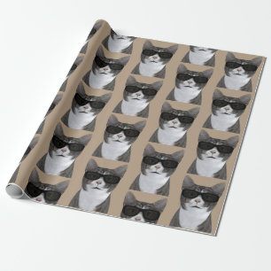 Papier Cadeau Tomcat a l'air trop cool avec des lunettes de sole