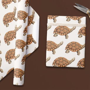 Papier Cadeau Tortue Brown