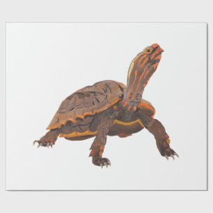 Papier Cadeau Tortue Copie Copie Copie Copie Copie Copie Copie