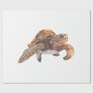 Papier Cadeau Tortue Copie Copie Copie Copie Copie Copie Copie C