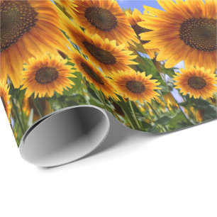 Papier cadeau Tournesol