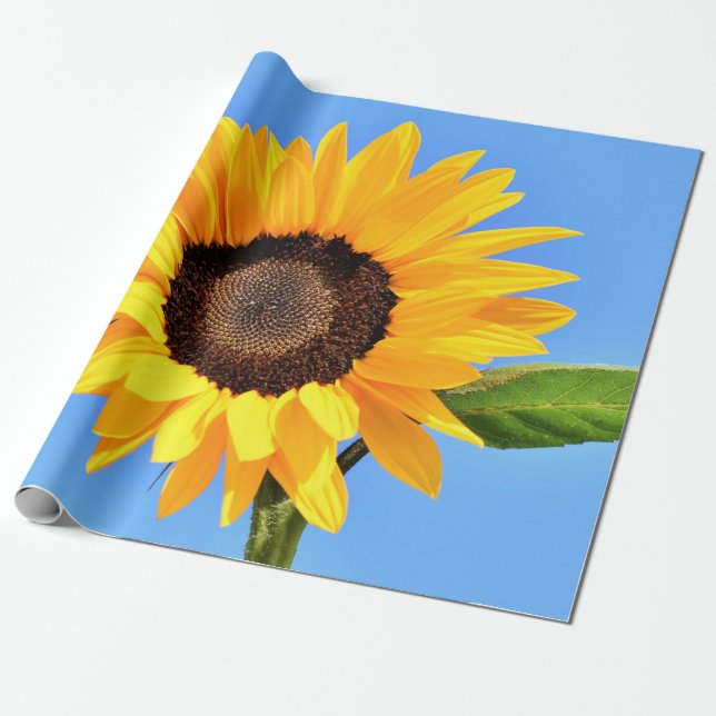 Papier Cadeau Tournesol jaune contre soleil sur ciel bleu - été (Déroulé)