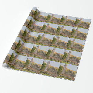 Papier Cadeau Tours rondes irlandaises de plus de 1 000 ans