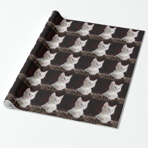 Papier Cadeau Très Mignon Chat Blanc