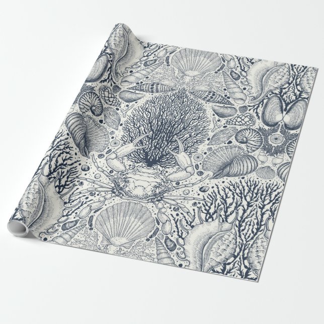 Papier Cadeau Trésors de plage, coquillages, crabes, coraux et s (Déroulé)