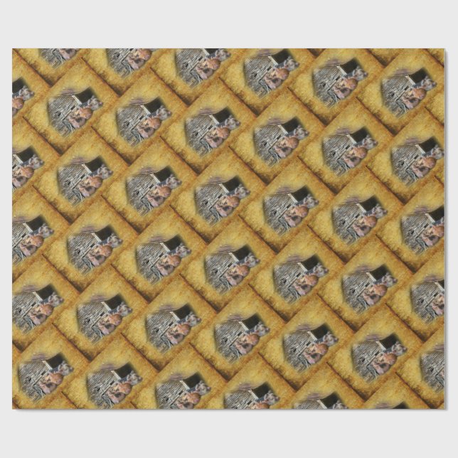 Papier Cadeau Trois Petits Cochons À La Grange Rustique Snoozing (Plat)
